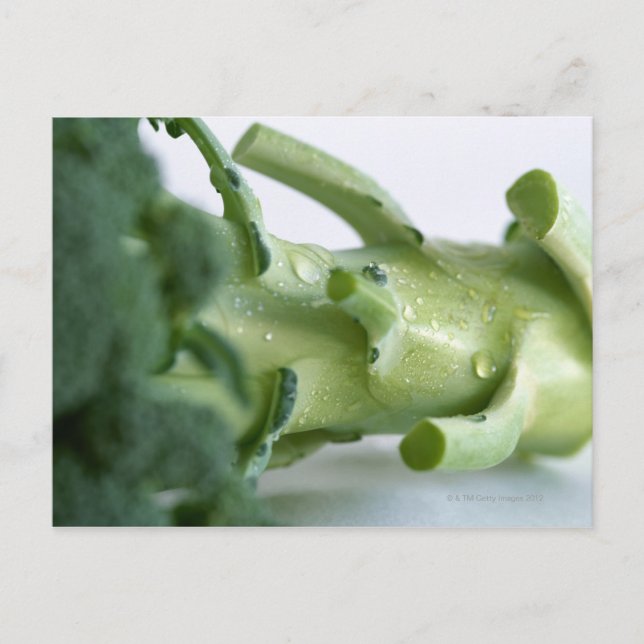 Broccoli Vykort (Framsida)