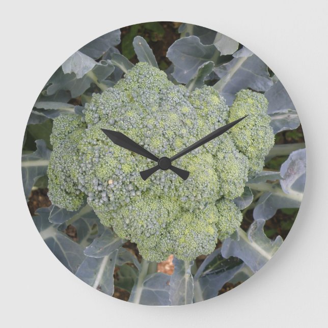 Broccoli Wall Clock Stor Klocka (Framsida)