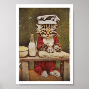 Bröd för kockkattungedanande poster