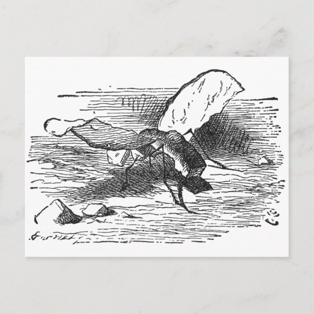 Bröd och Butter Fly Vykort (Framsida)