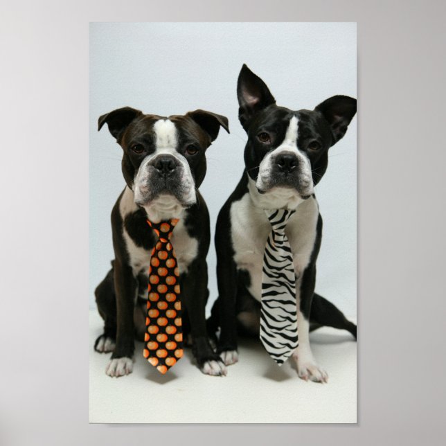 Bröder ポ ス タ ー poster (Framsidan)