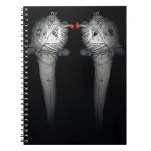 Bröder 2013 anteckningsbok