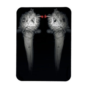 Bröder 2013 magnet
