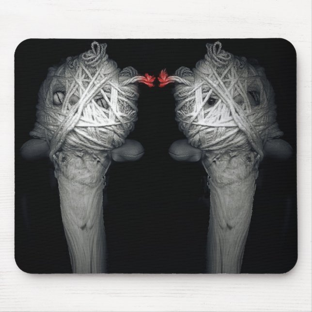 Bröder 2013 musmatta (Framsidan)