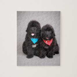 bröder av Nuwfie Pussel