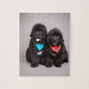 bröder av Nuwfie Pussel