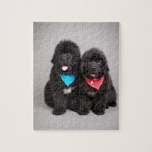 bröder av Nuwfie Pussel (Vertikal)