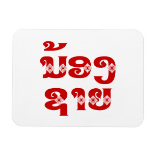 Broder mot Lao (ung) - ນ້ ອ ງ ຊ ຍ/Nong Sai - Lao Magnet