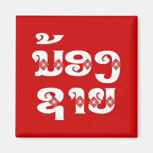 Broder mot Lao (ung) - ນ້ ອ ງ ຊ ຍ/Nong Sai - Lao Magnet