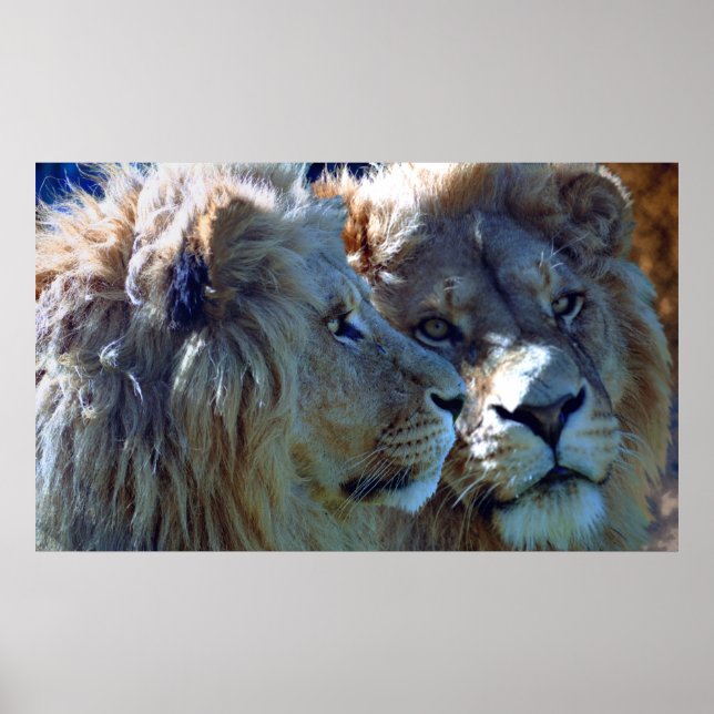 Bröder Poster (Framsidan)