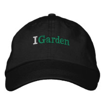 broderade baseball Hat