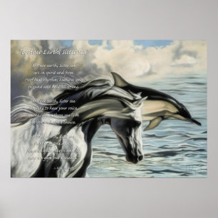 Broderjord, systerhav poster