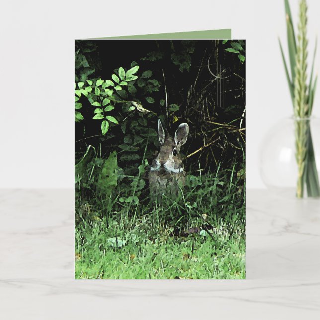 Broderkanin Kort (Framsida)