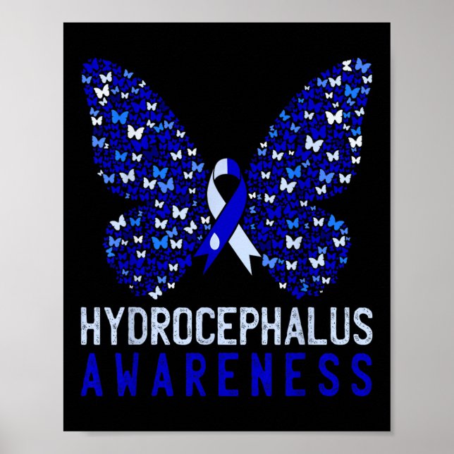 Brödflugan - fyndighet för hydrocephalus - månad B Poster (Framsidan)