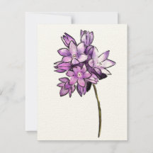 Brodiaea Flower