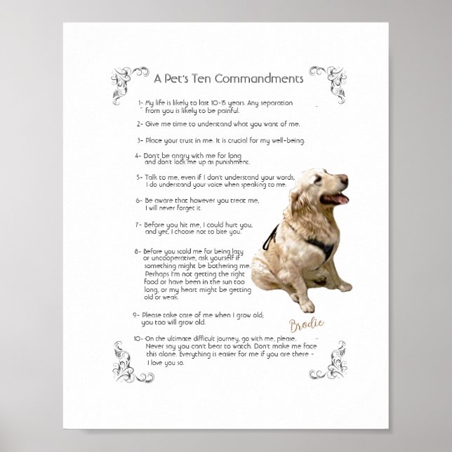 BRODIE - Poster (Framsidan)