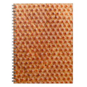 Brödtextur med många prickar (efter tillagning på anteckningsbok
