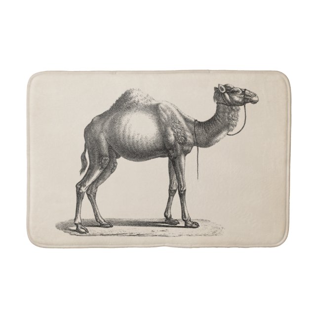 Brodtmann Dromedary Camel Sketch Badrumsmatta (Framsidan)