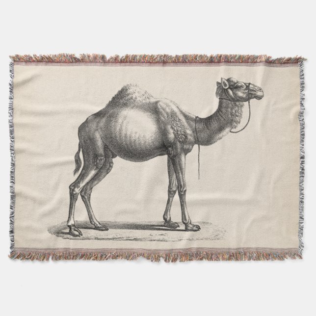Brodtmann Dromedary Camel Sketch Filt (Framsidan)