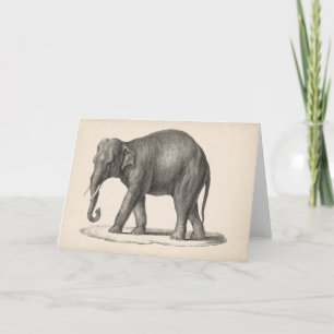 Brodtmann Elephant Sketch Kort