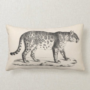 Brodtmann Leopard Sketch Lumbarkudde