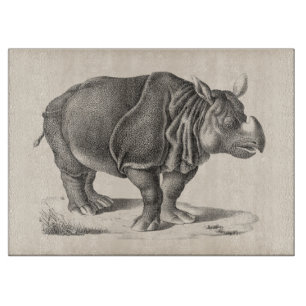 Brodtmann Rhinoceros Sketch