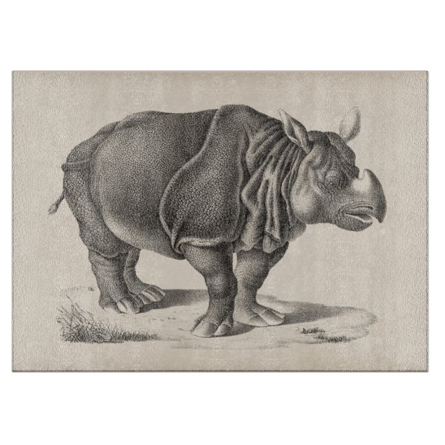 Brodtmann Rhinoceros Sketch (Framsidan)