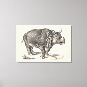 Brodtmann Rhinoceros Sketch Canvastryck