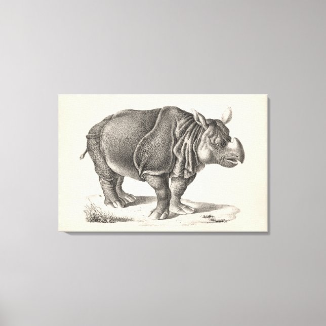 Brodtmann Rhinoceros Sketch Canvastryck (Framsida)
