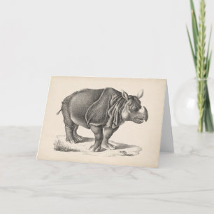 Brodtmann Rhinoceros Sketch Kort