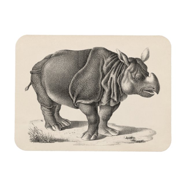 Brodtmann Rhinoceros Sketch Magnet (Horisontell)