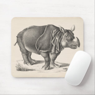 Brodtmann Rhinoceros Sketch Musmatta