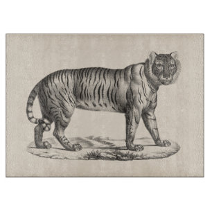 Brodtmann Tiger Sketch