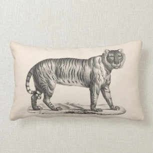 Brodtmann Tiger Sketch Lumbarkudde