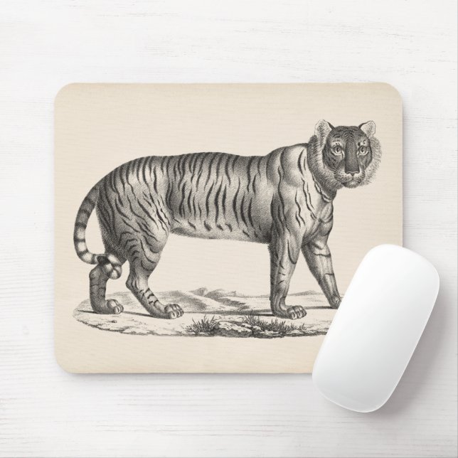 Brodtmann Tiger Sketch Musmatta (Med mus)