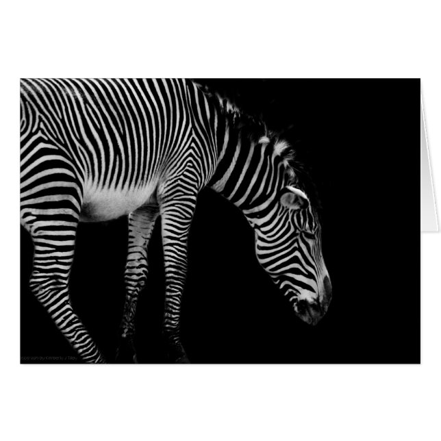 Brödtygskort OBS Kort (Framsidan Horizontal)