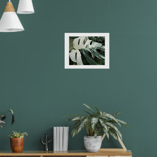 Brogkig Sveizisk Ostväxt Blomma Poster