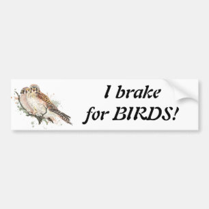 Broke for Birds Citote Birding Kestrel Couple Bildekal