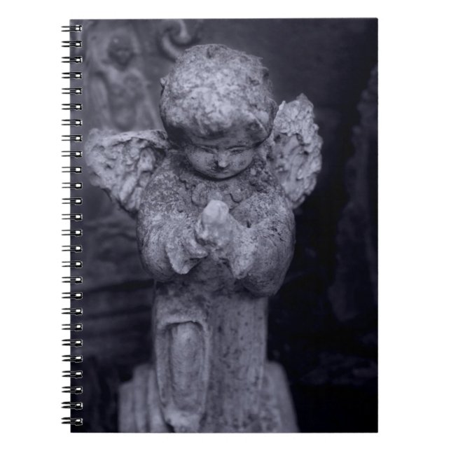 Broken Angel Journal Anteckningsbok (Framsidan)