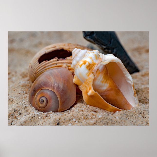 Broken Beach Beauties #2 Poster (Framsidan)