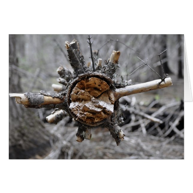 Broken Gräs Hälsningskort (Framsidan Horizontal)