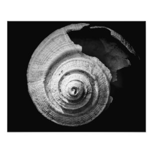 Broken Helix Fototryck