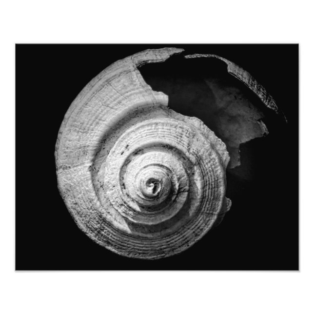 Broken Helix Fototryck (Framsidan)