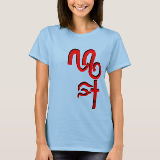 BROKEN-REDLOGO-NAMN TEE SHIRT