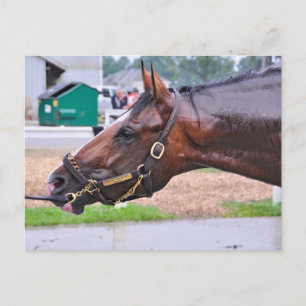 Broken Vow -Copeland's Angel Colt Vykort