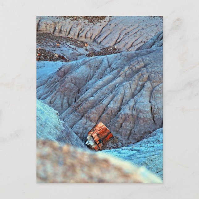 "Broken Wood in Blue Canyon"-samling Vykort (Framsida)