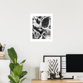 Brokig Hosta Svart och Vitt Blommotiv Poster