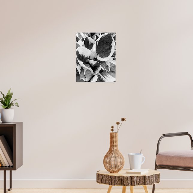 Brokig Hosta Svart och Vitt Blommotiv Poster (Vardagsrum 3)