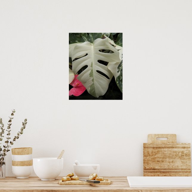 Brokig Monstera blad blom- Poster (Kök)