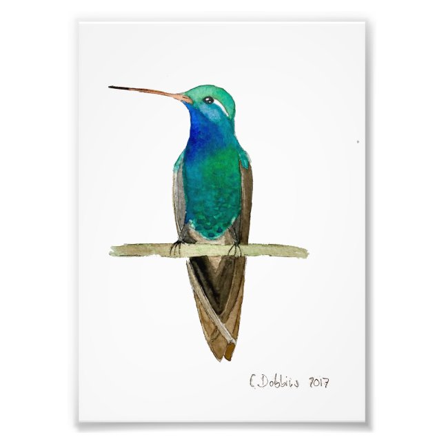 Brokknäbbad kolibri fototryck (Framsidan)